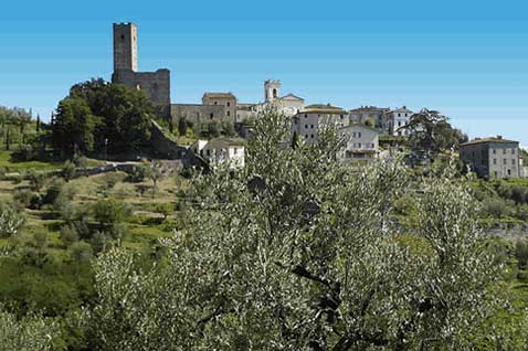 Olio extra vergine di oliva di larciano